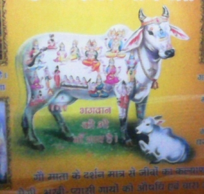  Service Provider of Goddan Pooja Haridwar Uttarakhand 